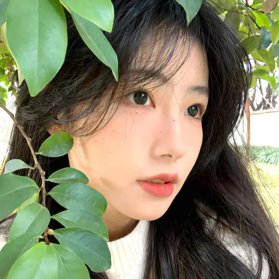 我老婆是学生会长第二季